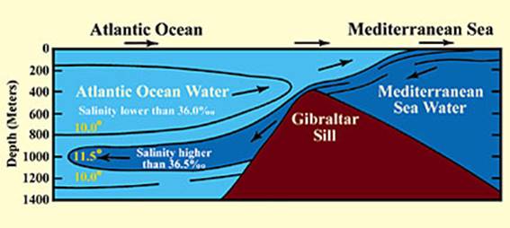 Description: Figure 13 (Click here to enlarge)