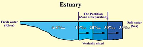 Description: Figure 14 (Click here to enlarge)